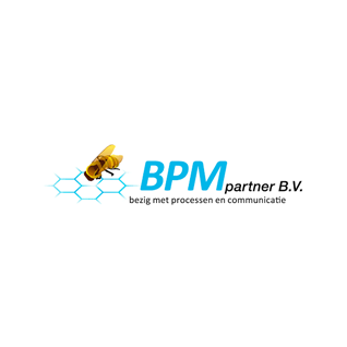 BPM Partner